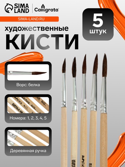 Кисти для рисования, белка, 5 штук: № 1, 2, 3, 4, 5, круглые, деревянная ручка, международный размер