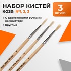 Набор кистей для рисования, коза, 3 штуки: № 1, 2, 3, круглые, деревянная ручка, международный размер - Фото 1