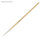 Набор кистей для рисования, коза, 3 штуки: № 1, 2, 3, круглые, деревянная ручка, международный размер - Фото 7