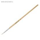 Набор кистей для рисования, коза, 3 штуки: № 1, 2, 3, круглые, деревянная ручка, международный размер - Фото 5