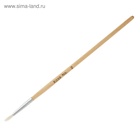 Набор кистей для рисования, коза, 3 штуки: № 1, 2, 3, круглые, деревянная ручка, международный размер - Фото 5