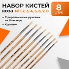 Набор кистей для рисования, коза, 8 штук: № 1, 2, 3, 4, 5, 6, 7, 8, круглые, деревянная ручка, международный размер - Фото 1