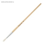 Набор кистей для рисования, коза, 10 штук: № 1, 2, 3, 4, 5, 6, 7, 8, 9, 10, круглые, деревянная ручка, международный размер - Фото 12