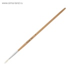 Набор кистей для рисования, коза, 10 штук: № 1, 2, 3, 4, 5, 6, 7, 8, 9, 10, круглые, деревянная ручка, международный размер 4725852