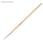 Набор кистей для рисования, коза, 10 штук: № 1, 2, 3, 4, 5, 6, 7, 8, 9, 10, круглые, деревянная ручка, международный размер - Фото 10