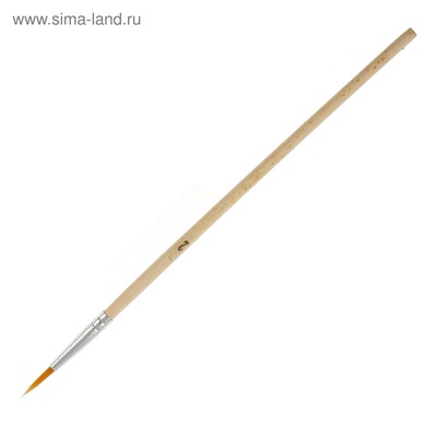 Набор кистей для рисования, синтетика, 10 штук: № 1, 2, 3, 4, 5, 6, 7, 8, 9, 10, круглые, деревянная ручка, международный размер