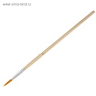 Набор кистей для рисования, синтетика, 10 штук: № 1, 2, 3, 4, 5, 6, 7, 8, 9, 10, круглые, деревянная ручка, международный размер 4725855