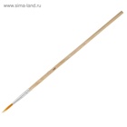 Набор кистей для рисования, синтетика, 10 штук: № 1, 2, 3, 4, 5, 6, 7, 8, 9, 10, круглые, деревянная ручка, международный размер 4725855