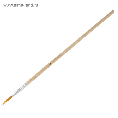 Набор кистей для рисования, синтетика, 10 штук: № 1, 2, 3, 4, 5, 6, 7, 8, 9, 10, круглые, деревянная ручка, международный размер