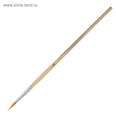Набор кистей для рисования, синтетика, 10 штук: № 1, 2, 3, 4, 5, 6, 7, 8, 9, 10, круглые, деревянная ручка, международный размер