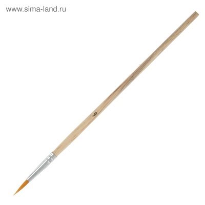 Набор кистей для рисования, синтетика, 10 штук: № 1, 2, 3, 4, 5, 6, 7, 8, 9, 10, круглые, деревянная ручка, международный размер