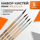 Набор кистей для рисования, пони, 5 штук: № 1, 2, 3, 4, 5, круглые, деревянная ручка, международный размер - Фото 1