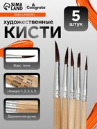 Набор кистей для рисования, пони, 5 штук: № 1, 2, 3, 4, 5, круглые, деревянная ручка, международный размер - Фото 1