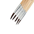 Набор кистей пони 5 штук (круглые:№1,2,3,4,5), с деревянными ручками, на блистере - Фото 3
