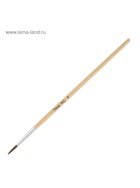 Набор кистей для рисования, пони, 5 штук: № 1, 2, 3, 4, 5, круглые, деревянная ручка, международный размер - Фото 6