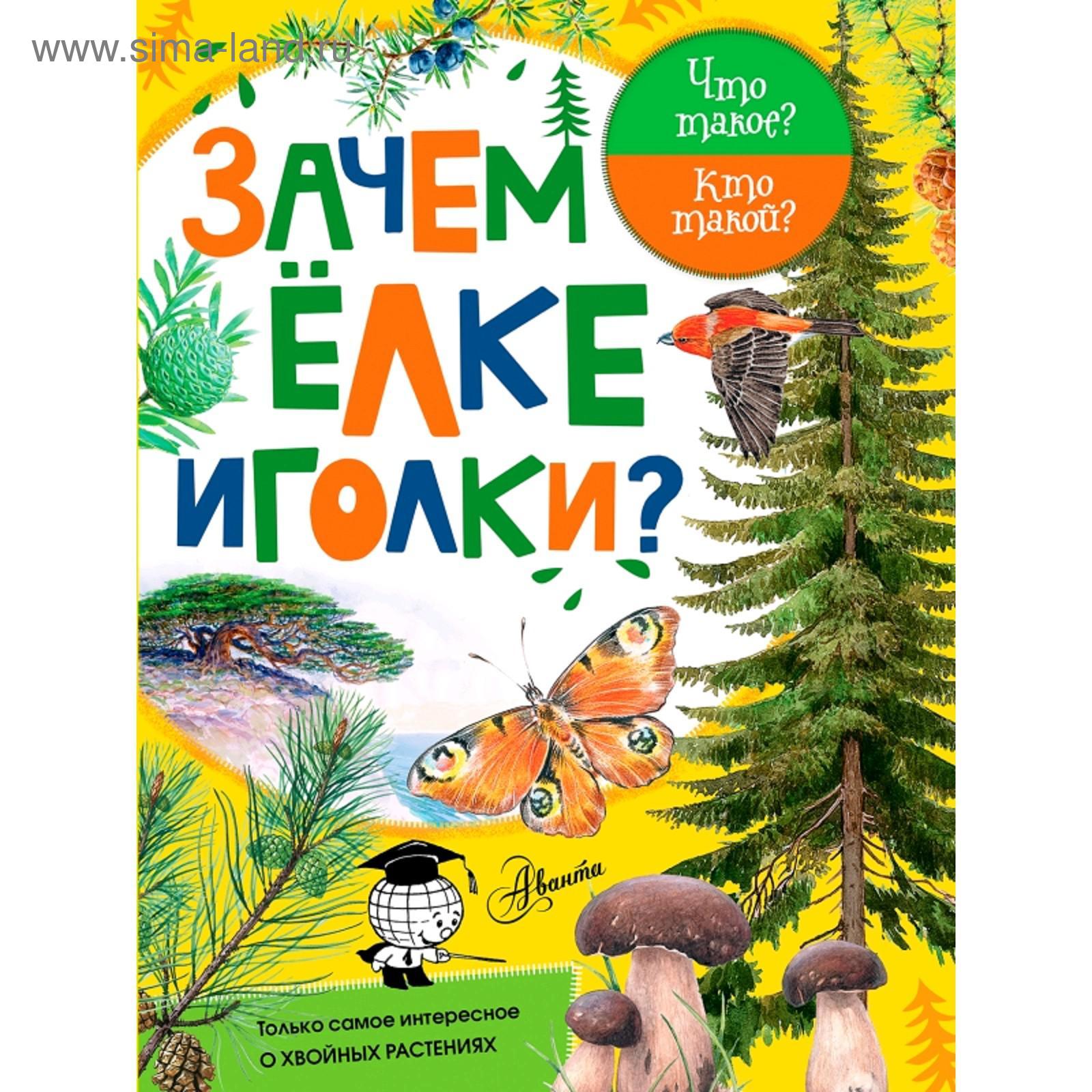 У меня длинней иголки чем у елки
