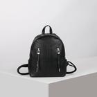 Рюкзак молодёжный, отдел на молнии, 2 наружных кармана, цвет чёрный - Фото 1