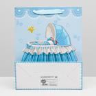 Пакет ламинированный "Малыш" 26x32x12 (комплект 12 шт) - фото 21088264