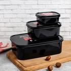 Набор ланч-боксов «ЗОЖ», 1.2 л, 0.5 л, 0.15 л - фото 21088277