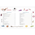 Книга детская «Всё-всё-всё об умной собачке Соне», Усачев А. - Фото 4