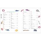 Книга детская «Всё-всё-всё об умной собачке Соне», Усачев А. - Фото 5