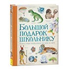 Энциклопедия детская «Большой подарок школьнику» - Фото 1