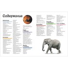 Энциклопедия детская «Большой подарок школьнику» - Фото 4