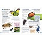 Энциклопедия детская «Большой подарок школьнику» - Фото 6