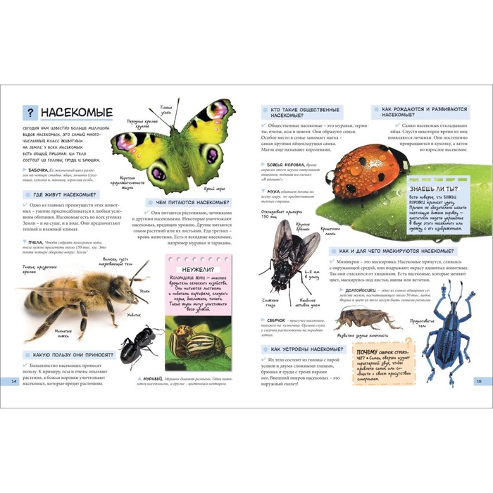 «Большой подарок школьнику» 5100125