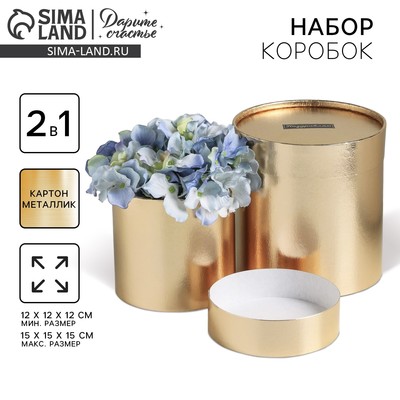 Набор коробок золотых 2 в 1, упаковка подарочная, «Поздравляю», 12 х 12, 15 х 15 см