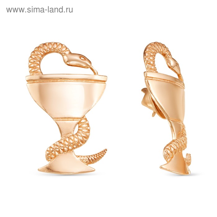 Брошь «Змея в геральдике» позолота - Фото 1