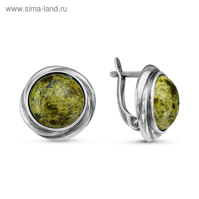 Серьги «Змеевик» круг, посеребрение с оксидированием - Фото 1