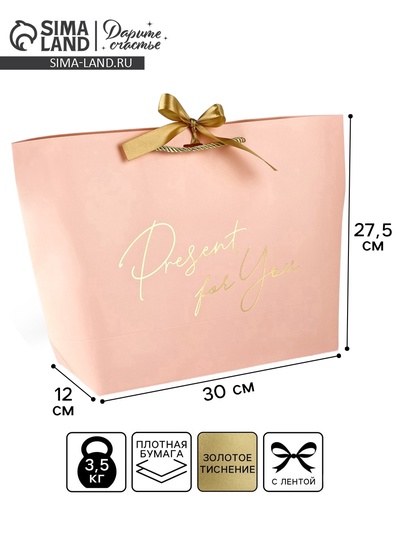 Пакет подарочный, упаковка, Present for you, 30×27.5×12 см
