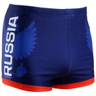Плавки мужские для бассейна RUSSIA, размер 42 - фото 1130532