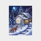Картина по номерам на холсте с подрамником «Зимняя ночь» 30×40 см - Фото 4