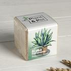 Набор для выращивания P&P "Агава Благородная" - Фото 1