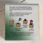 Набор для выращивания P&P "Агава Благородная" - Фото 2