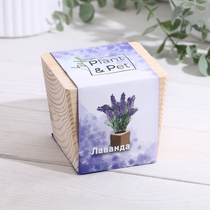 Набор для выращивания P&P «Лаванда», в кубе из дерева - Фото 1