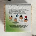 Набор для выращивания P&P "Мексиканская хвоя" - Фото 2