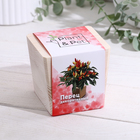 Набор для выращивания P&P «Перчик декоративный», в кубе из дерева - Фото 1