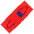 Сумка-коврик ONLITOP для спорта и отдыха 2 в 1, цвет красный - Фото 2