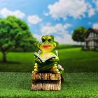 Садовая фигура "Две лягушки с книжками на лавке" 10х33х21см - фото 24622098