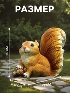 Садовая фигура из полистоуна «Белочка с орешками», 16×8.5×17 см - Фото 2