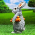 Садовая фигура "Зайка несет морковь" 9х13х22см - фото 10011472