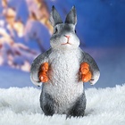 Садовая фигура из полистоуна «Зайка несет морковь», 22×9×13 см - Фото 4