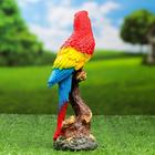 Садовая фигура "Красный Ара на коряге" 9,5х7х24см - фото 21089155