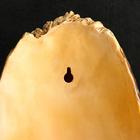 Подвесной декор из полистоуна «Птичка в дупле», 12×14×24 см - Фото 3