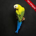 Подвесной декор "Попугай волнистый на ветке" 7х12х29 см - фото 2907916