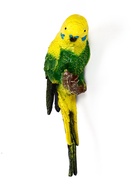 Садовая фигура из полистоуна «Попугай волнистый на ветке», подвесная, 7×12×29 см - Фото 18