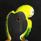 Подвесной декор "Попугай волнистый на ветке" 7х12х29 см - Фото 3